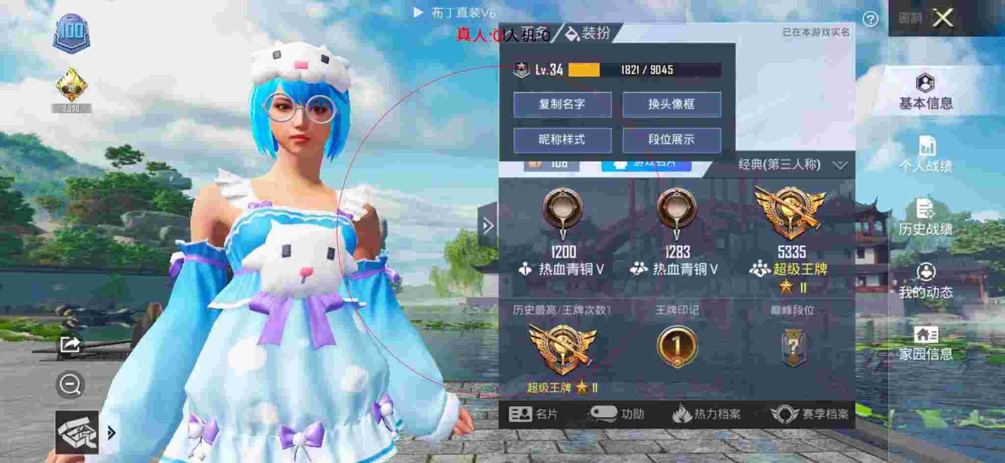 和平精英布丁直装透视 - 和平精英科技感图片辅助预览图
